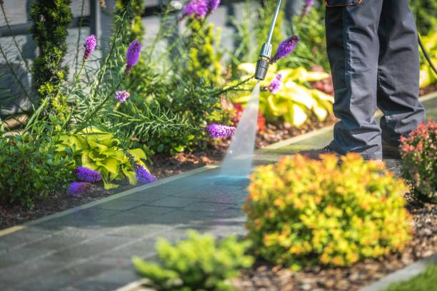 Best Pool Deck Cleaning  in Kasson, MN