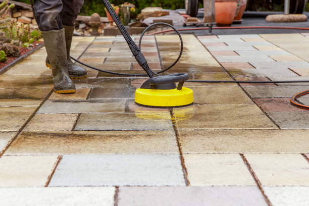 Best Fence Cleaning  in Kasson, MN